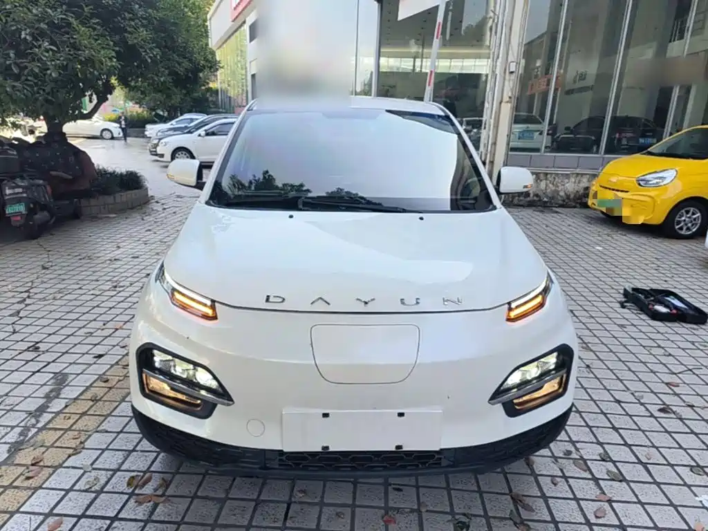 Dayun Yuehu 2021 2021 32.85kWh 2WD Elf Edition