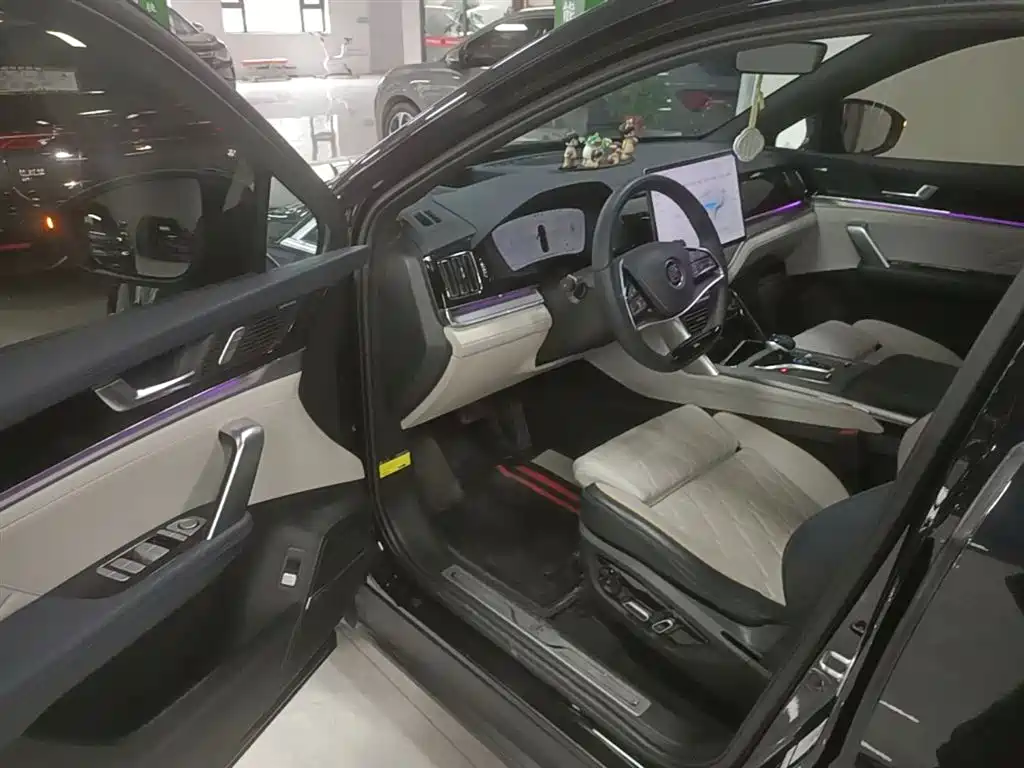 BYD Tang New Energy 2024 EV Glory Edition 600KM Premium фото 16