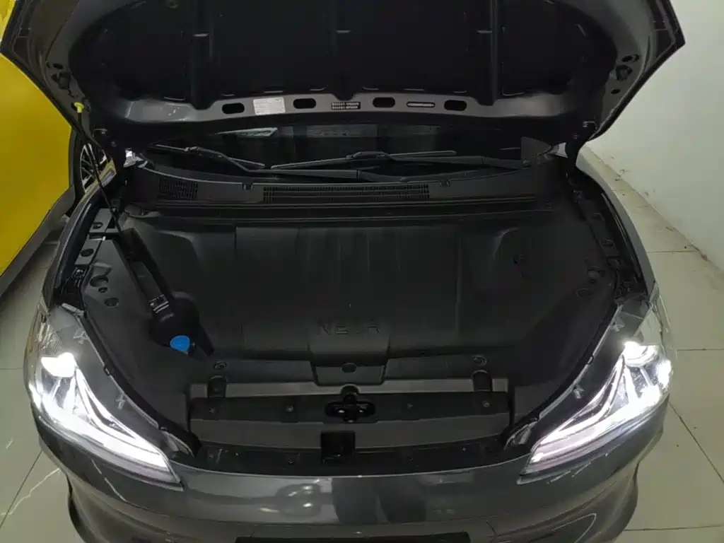 Nezha Auto Nezha V 2023 2022 Tide 300 Lite Ternary Lithium