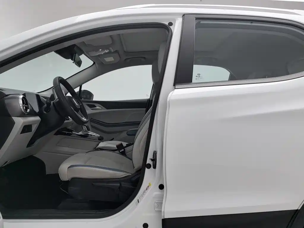 BYD Yuan Pro 2023 2023 401KM Premium