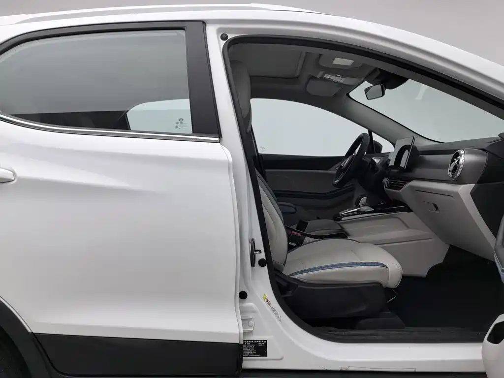 BYD Yuan Pro 2023 2023 401KM Premium