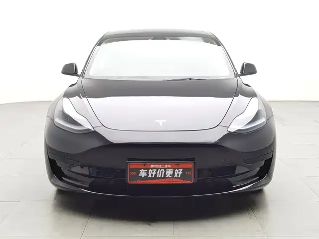 Tesla Model 3 2021 Facelift Standard Range RWD Upgrade 3D1 — фото 3