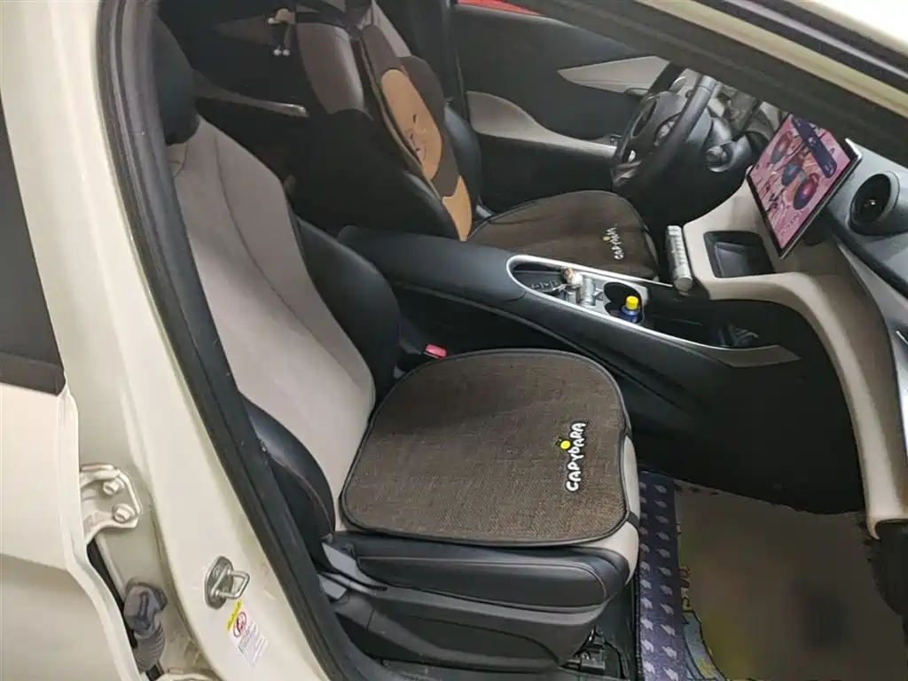 BYD Dolphin 2023 420km Freedom Edition фото 24