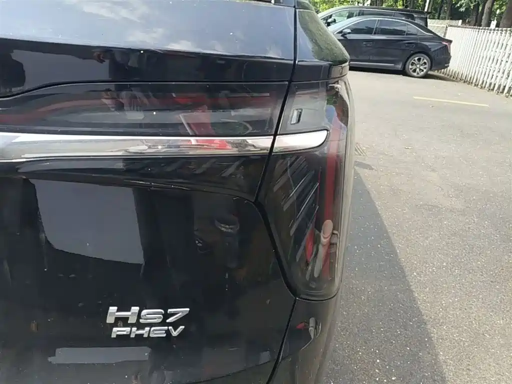 Hongqi HS7 PHEV 2024 2.0T PHEV 4WD Flagship Edition 6-seater фото 8