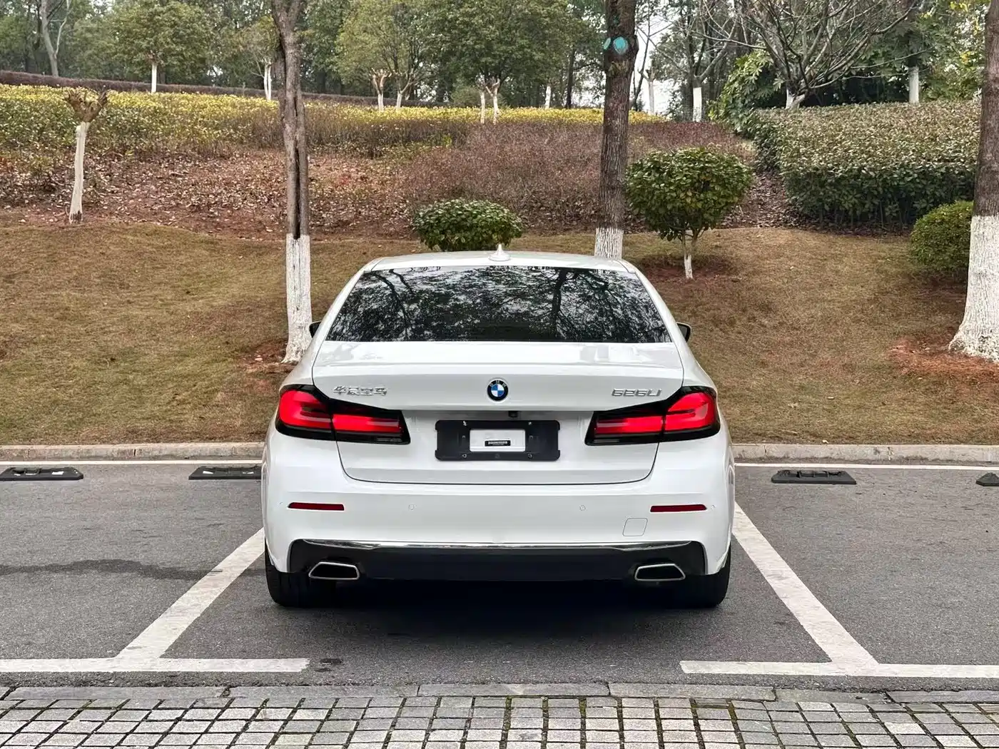 BMW 5 Series 2022 525Li Luxury Package фото 8
