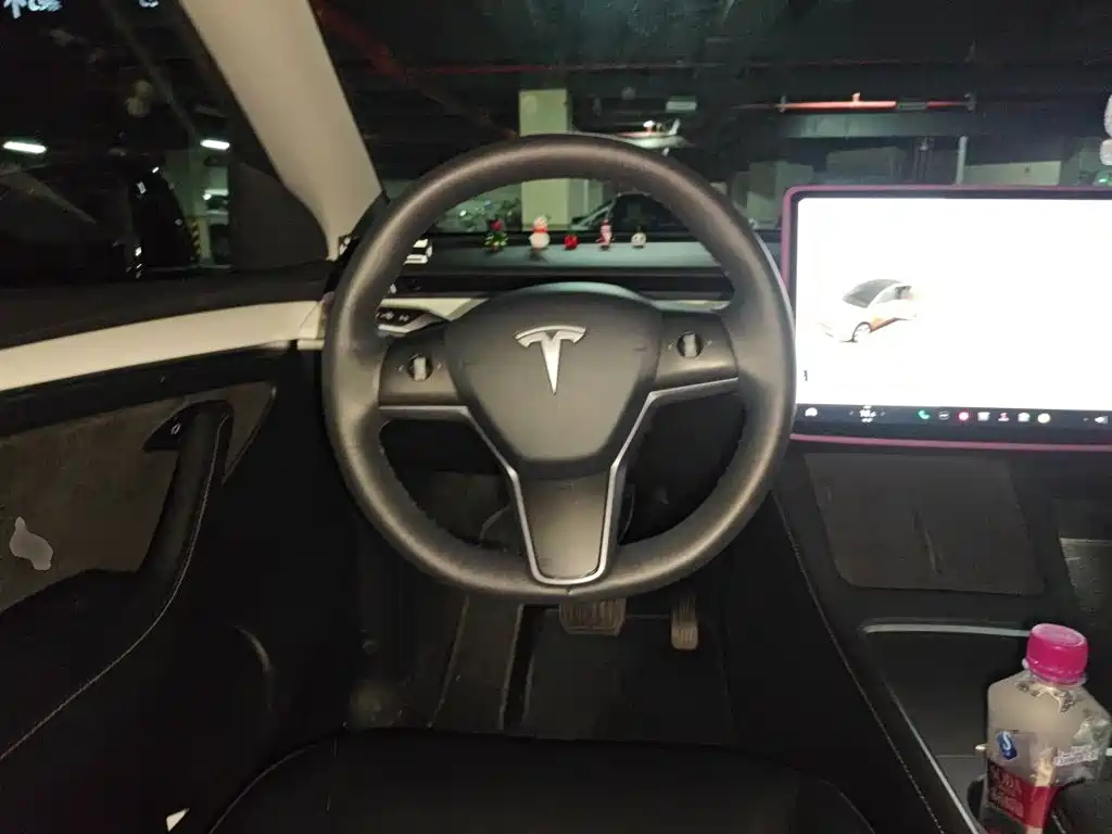 Tesla Model Y 2021 2021 Standard Range Rear-Wheel Drive