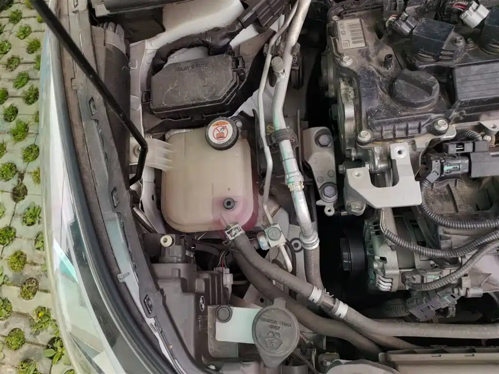 Toyota C-HR 2021 2.0L Luxury Edition фото 21