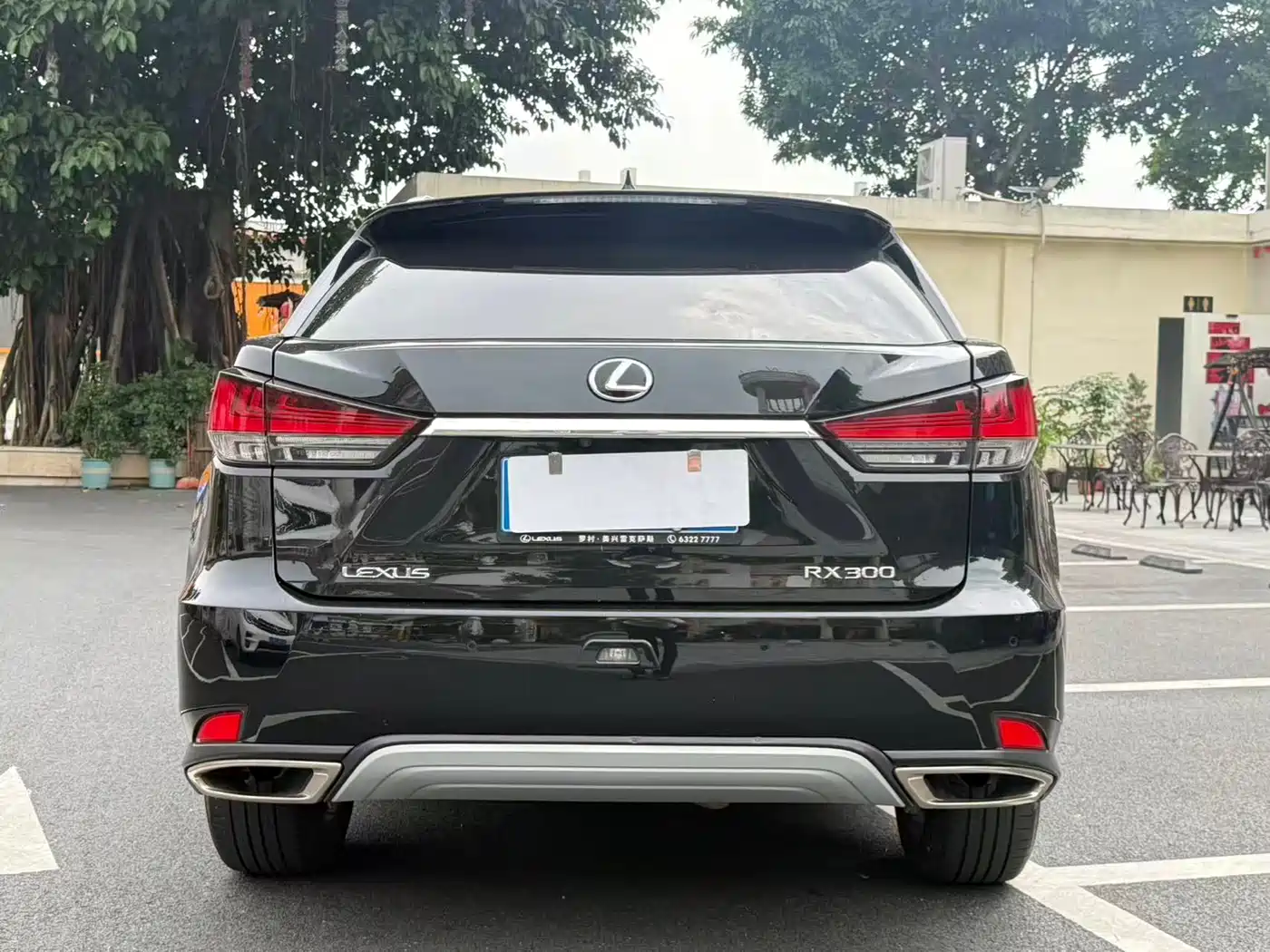 Lexus RX 2020 300 4WD Elegance Edition China VI фото 15