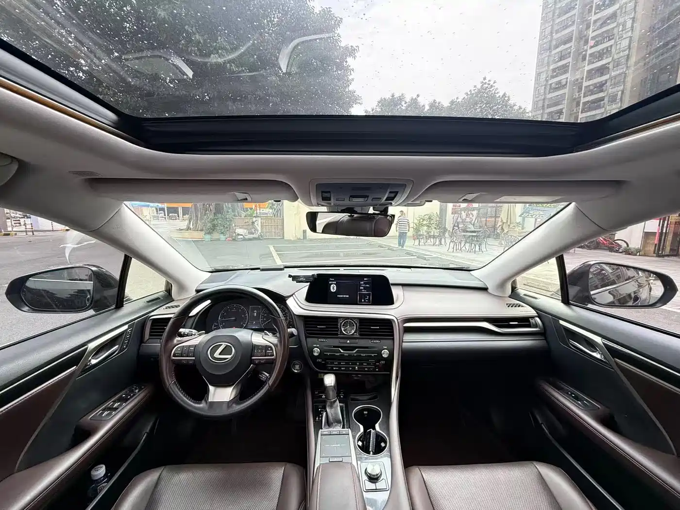 Lexus RX 2020 300 4WD Elegance Edition China VI фото 6