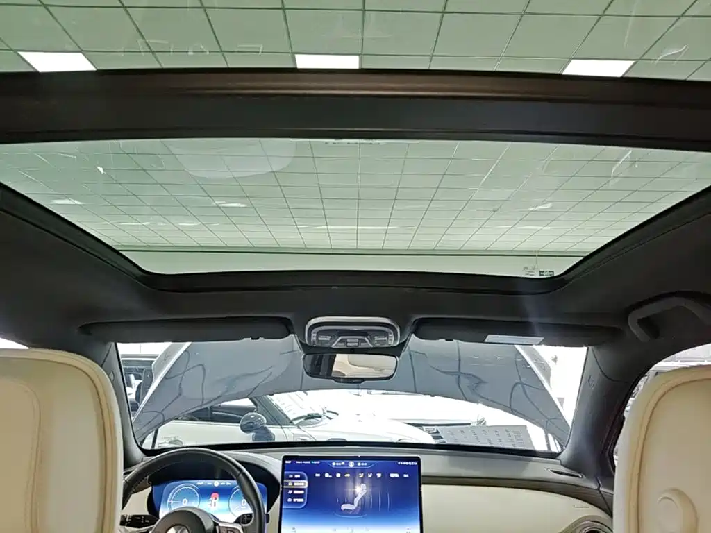 Denza X 2021 2020 Model PHEV Flagship Edition