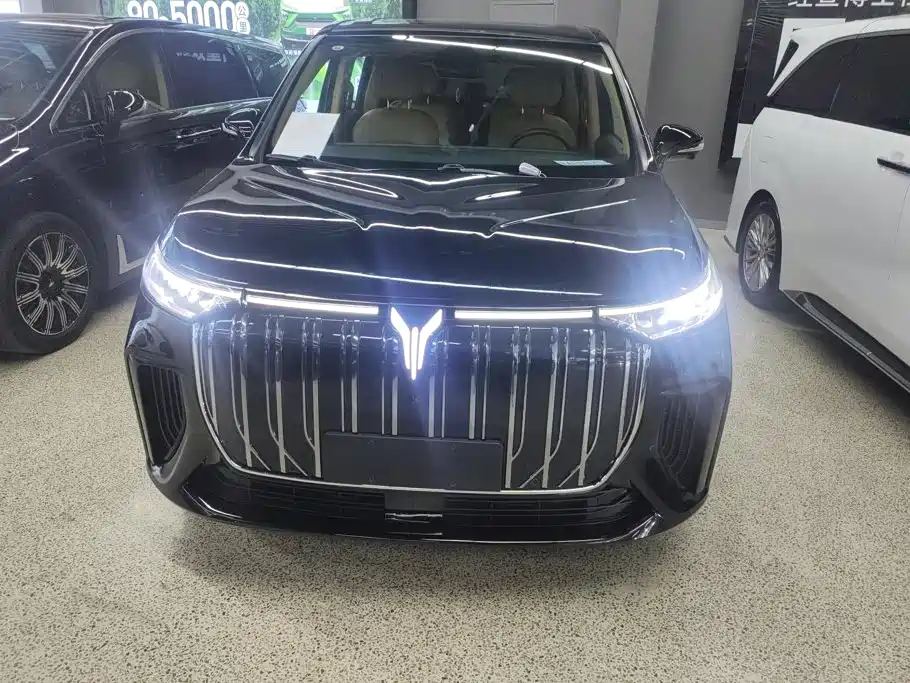 Voyah Auto Voyah Dreamer 2025 2025 China Hong Kong Auto Show Edition