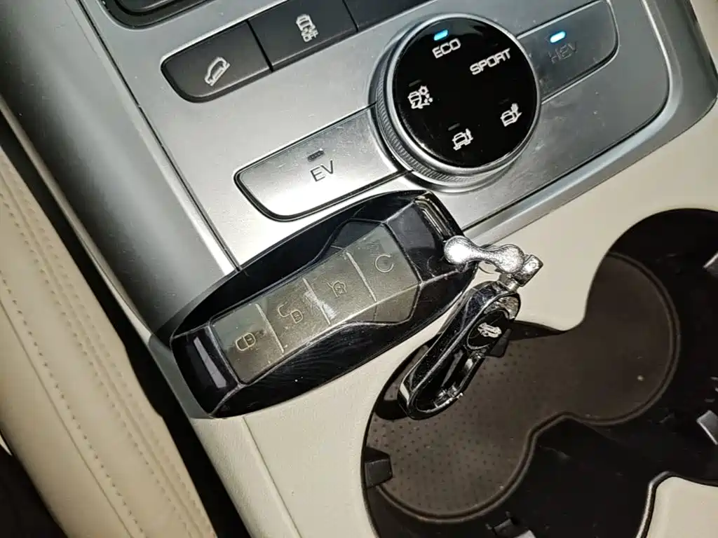 Denza X 2021 2020 Model PHEV Flagship Edition