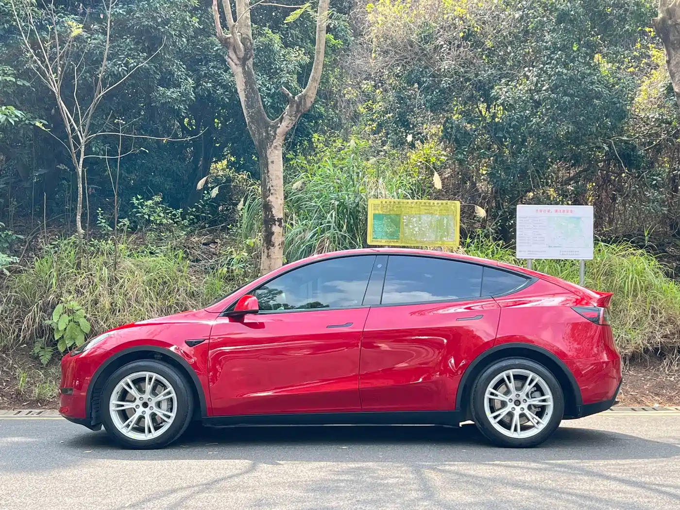 TESLA MODEL Y