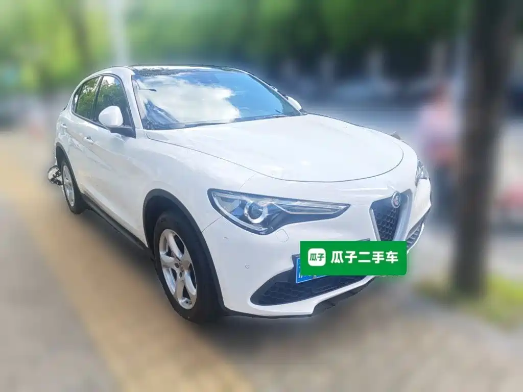 Alfa Romeo Stelvio 2019 2017 2.0T 200HP Elite