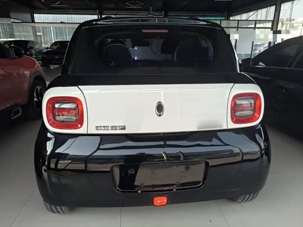 Ora Black Cat 2021 2021 351km Luxury Model