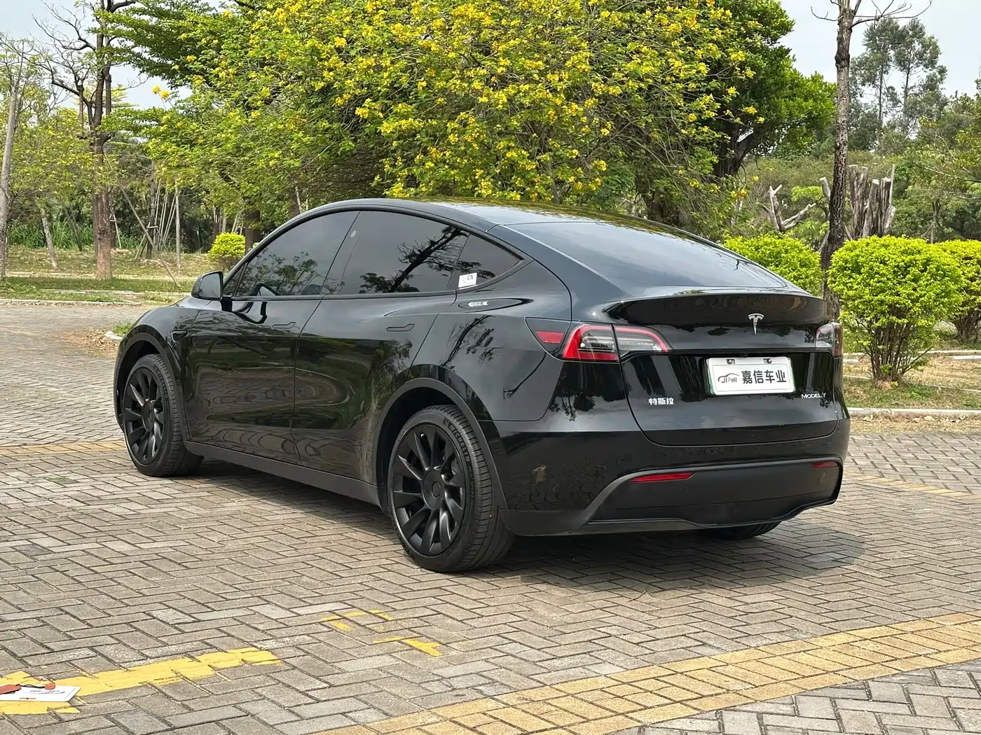 TESLA MODEL Y
