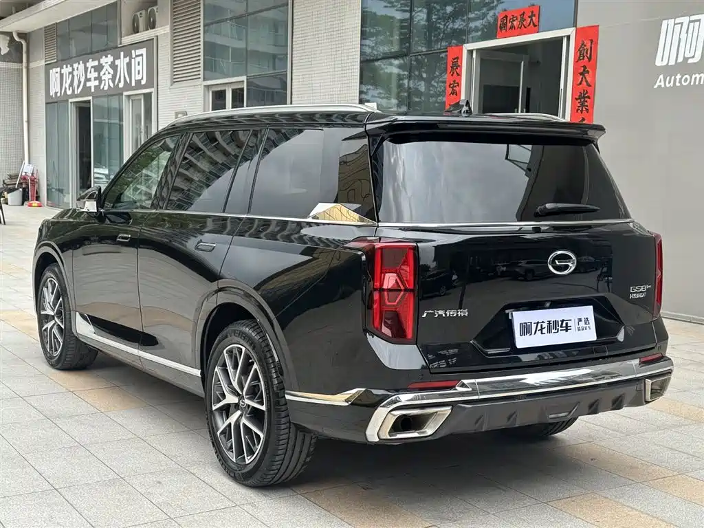 GAC Trumpchi Trumpchi GS8 2022 Dual Engine Series 2.0TM 2WD Premium Edition (6-Seater) фото 8