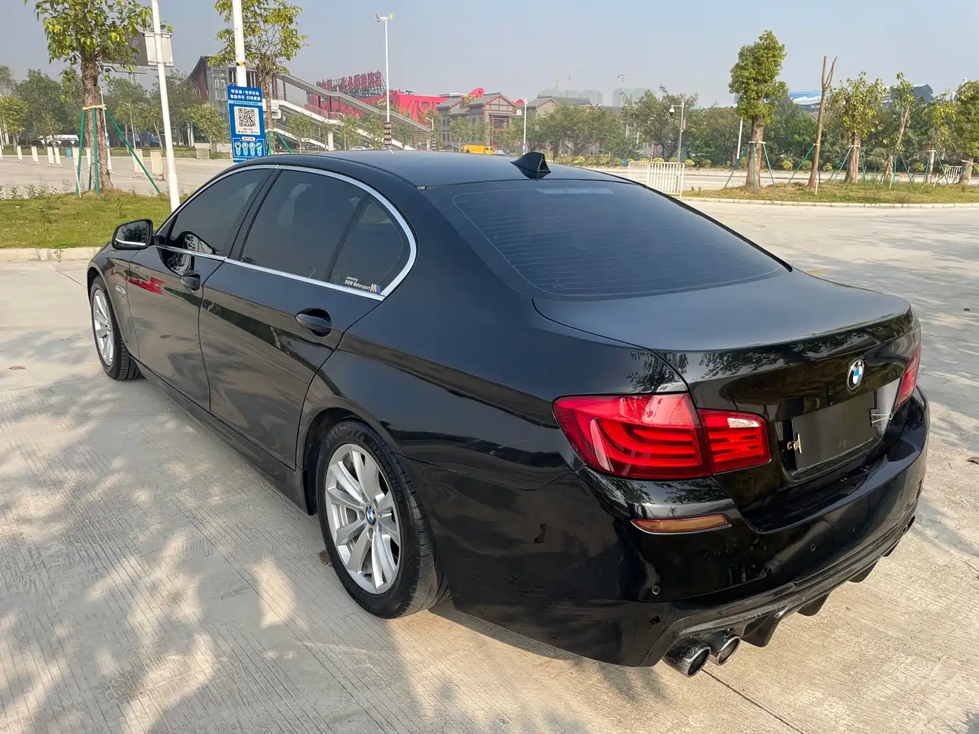 BMW 5 Series 2013 525Li Luxury фото 8