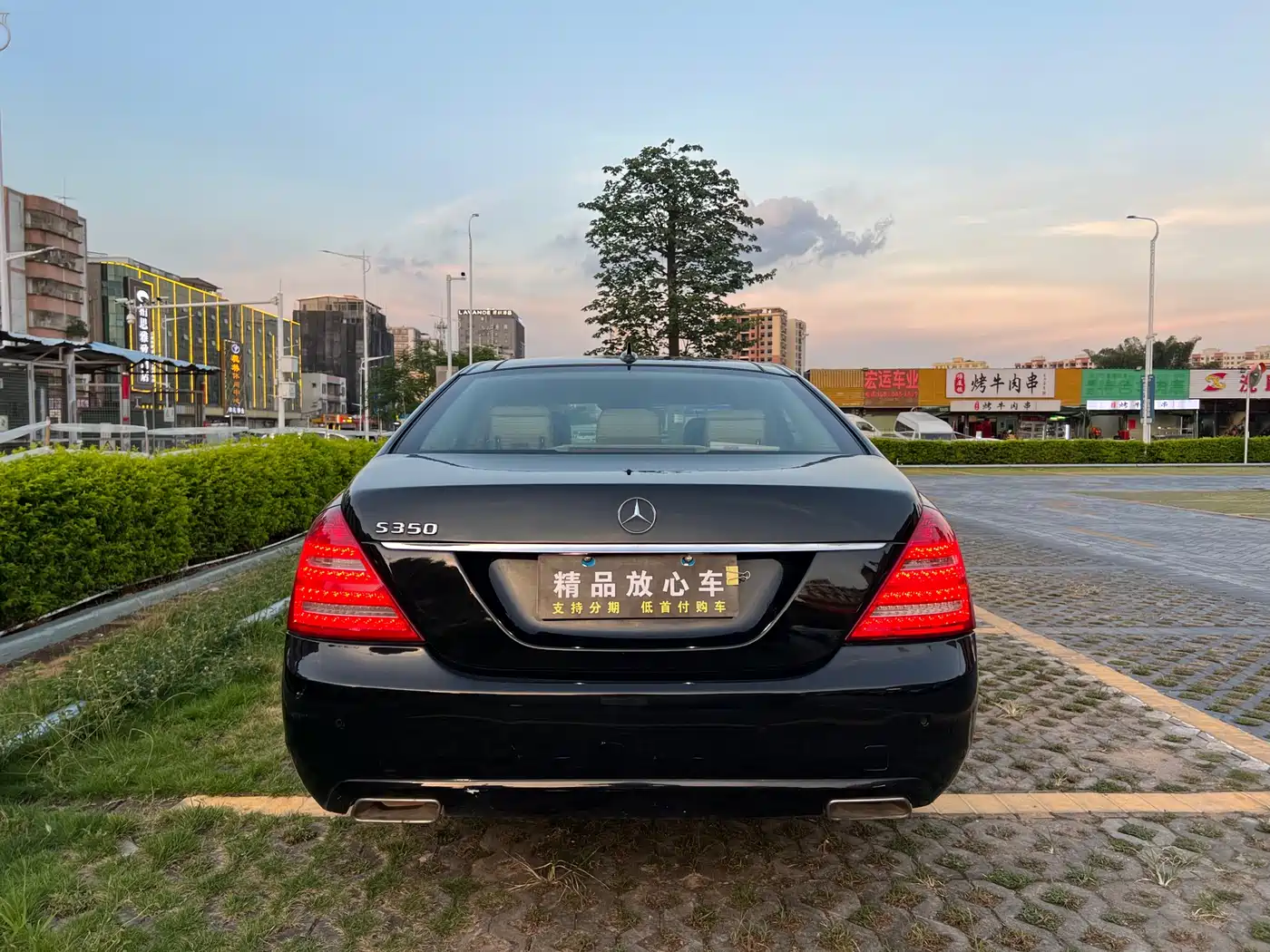 Mercedes-Benz S-Class 2010 S 350 L Luxury фото 5