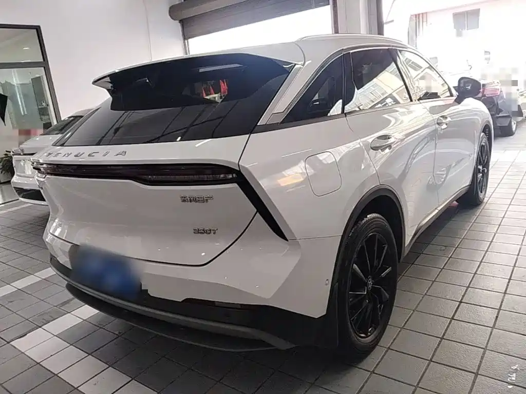 Venucia Big V 2023 2021 260T King Edition
