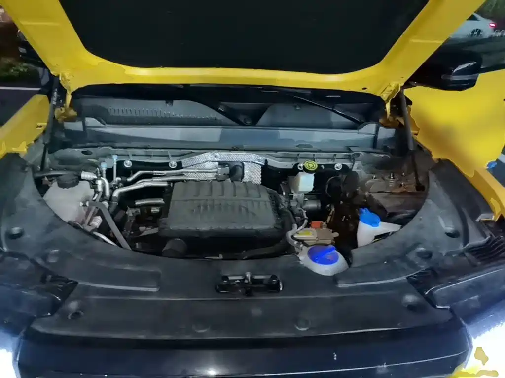 Photo 20 - Chery Fengyun Storm X3L