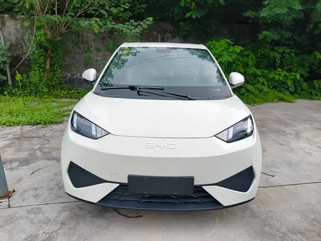 BYD Seagull 2026 2025 Smart Drive Edition 305km Vitality Version