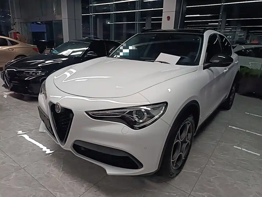 Alfa Romeo Stelvio 2021 2020 2.0T 280HP Luxury Edition