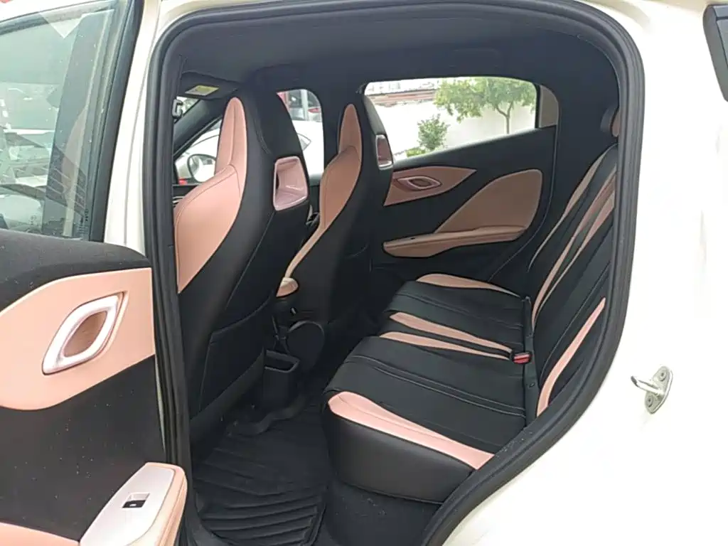 BYD Seagull 2026 2025 Smart Drive Edition 305km Vitality Version
