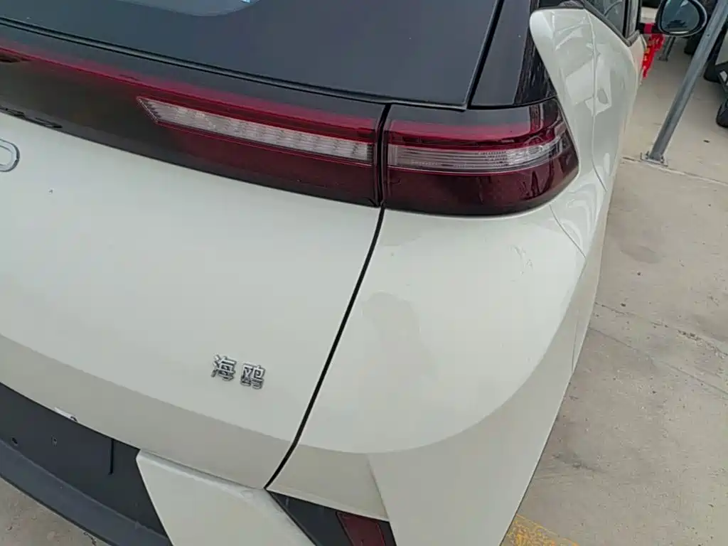 BYD Seagull 2026 2025 Smart Drive Edition 305km Vitality Version
