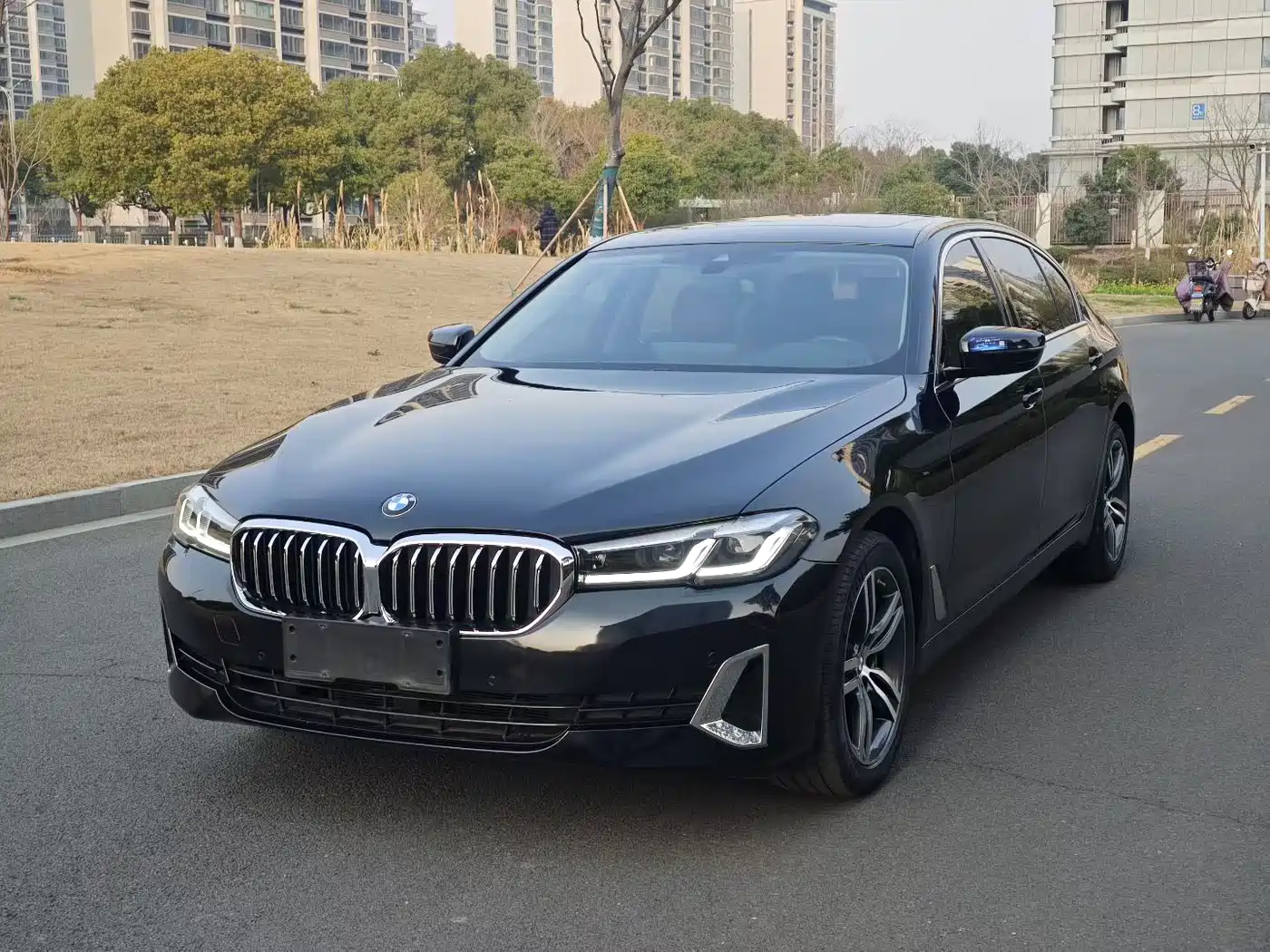 BMW 5 Series 2021 530Li Leading Luxury Package