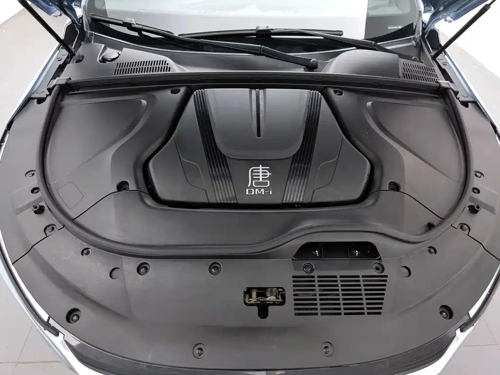 Photo 6 - BYD Tang New Energy