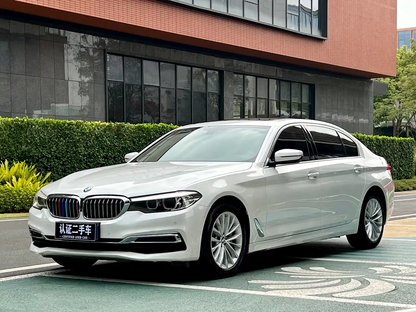 BMW 5 Series 2019 530Li Leading Luxury Package