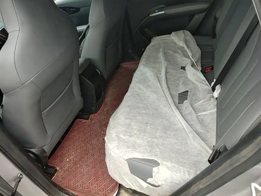 Geely Galaxy Starry Wish 2026 2026 Edition 410km Freedom Version