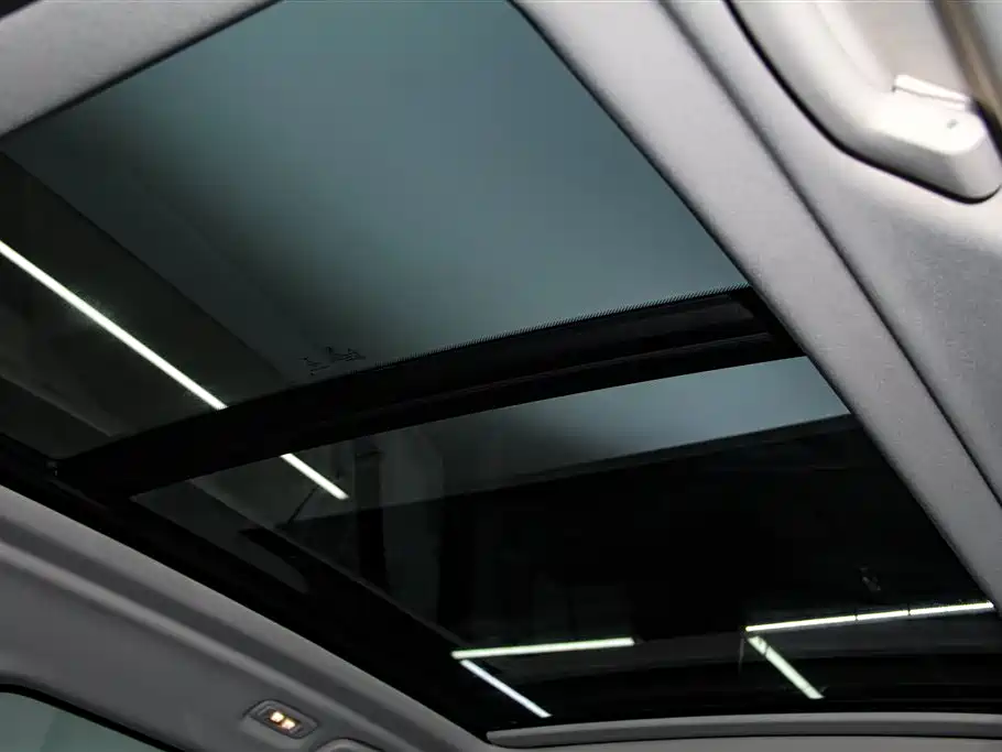 BMW X7 2020 xDrive40i Leading Luxury Package фото 31