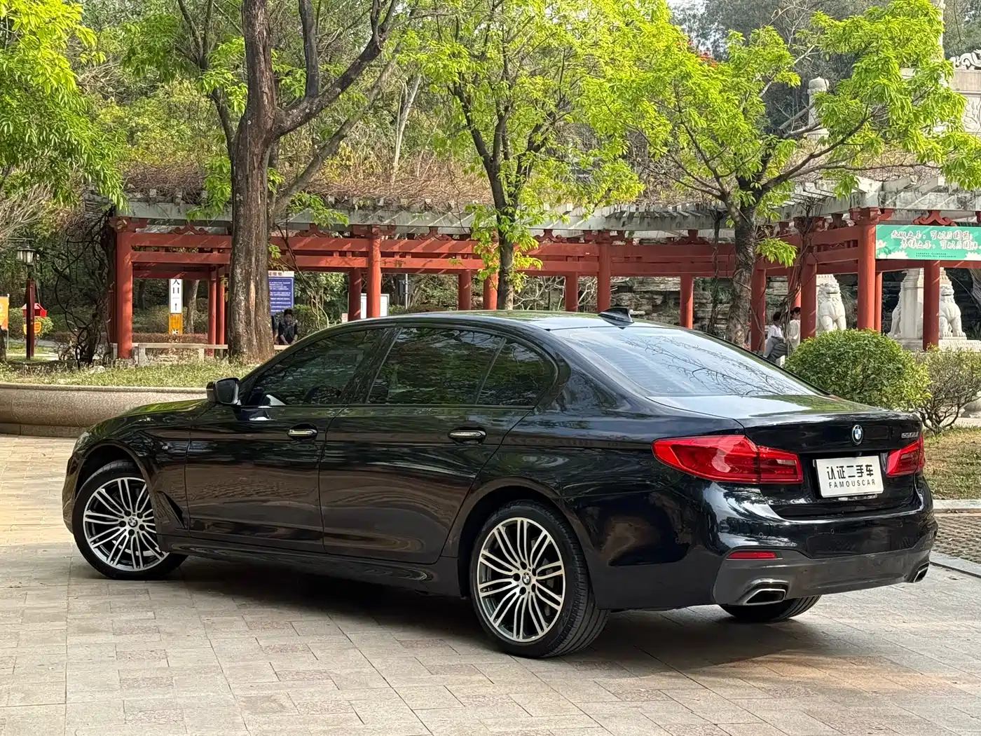 BMW 5 Series 2018 530Li Leading M Sport Package фото 17
