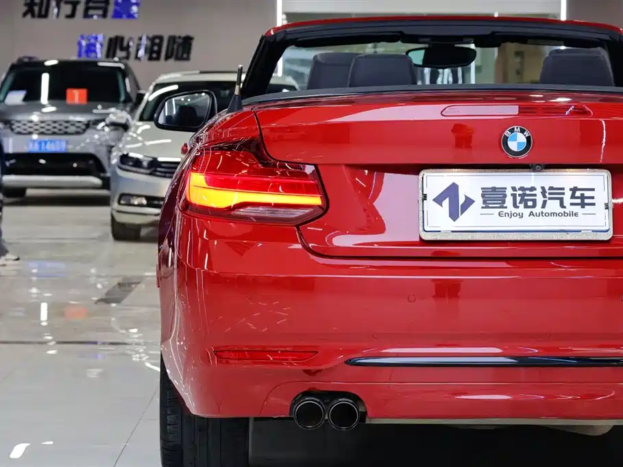 BMW 2 Series (Import) 2019 225i Convertible Coupe Sport Design Package фото 7