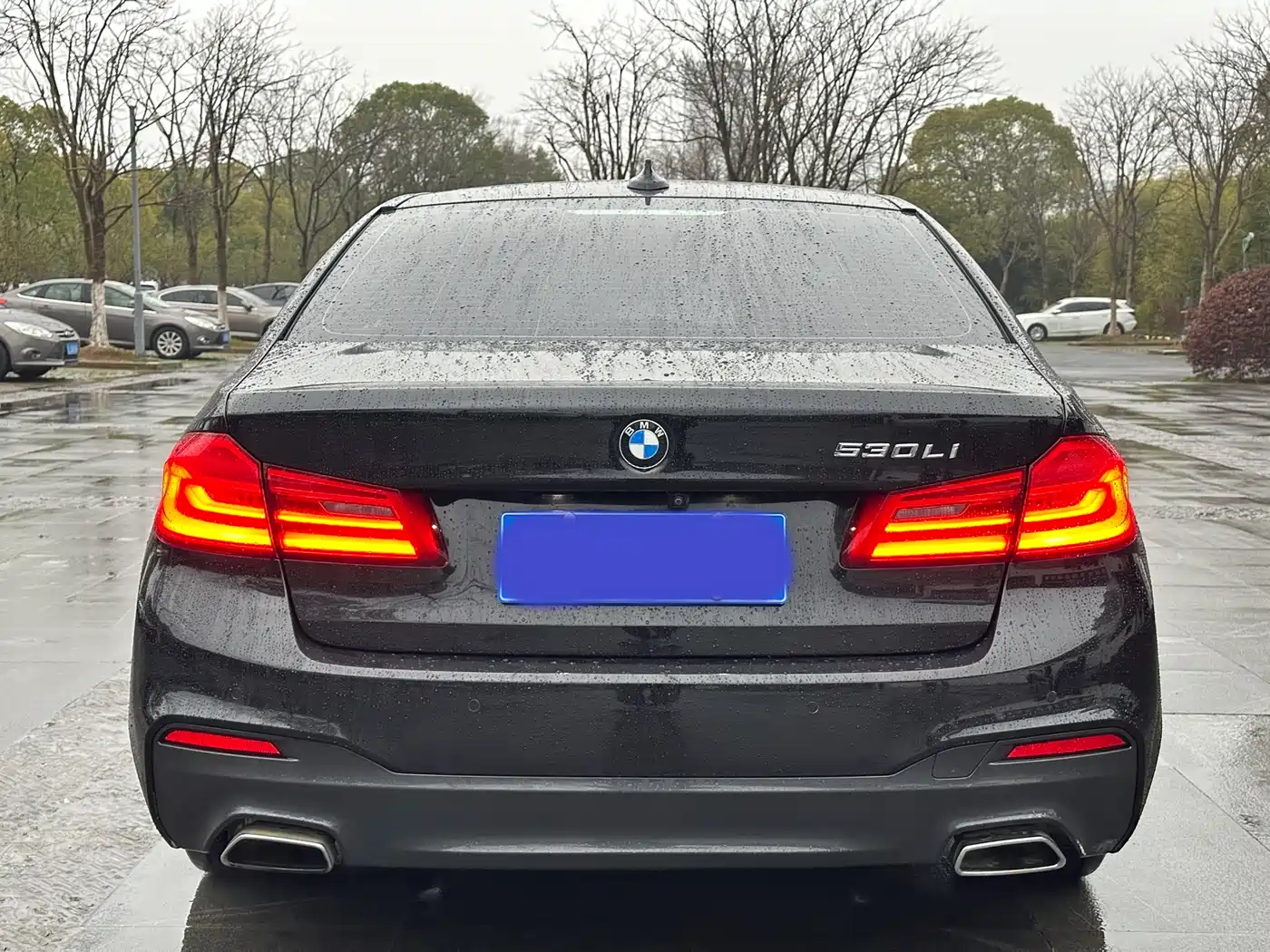 BMW 5 Series 2019 530Li Leading M Sport Package фото 5