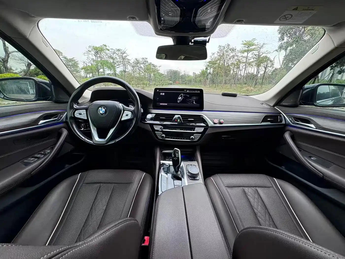 BMW 5 Series 2021 Facelift 530Li Leading Luxury Package фото 12