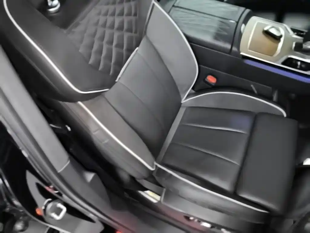 Hongqi E-HS9 2023 2022 690km Qi Xiang Edition (6-seater)