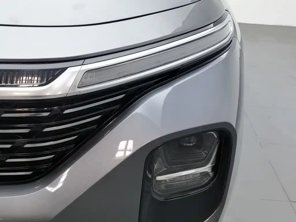 Baojun Valli 2021 2021 1.5T Dali Sky CVT Premium