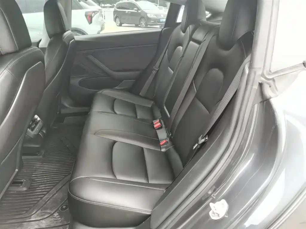 Tesla Model 3 (Import) 2019 2019 Performance High-Efficiency All-Wheel Drive Version