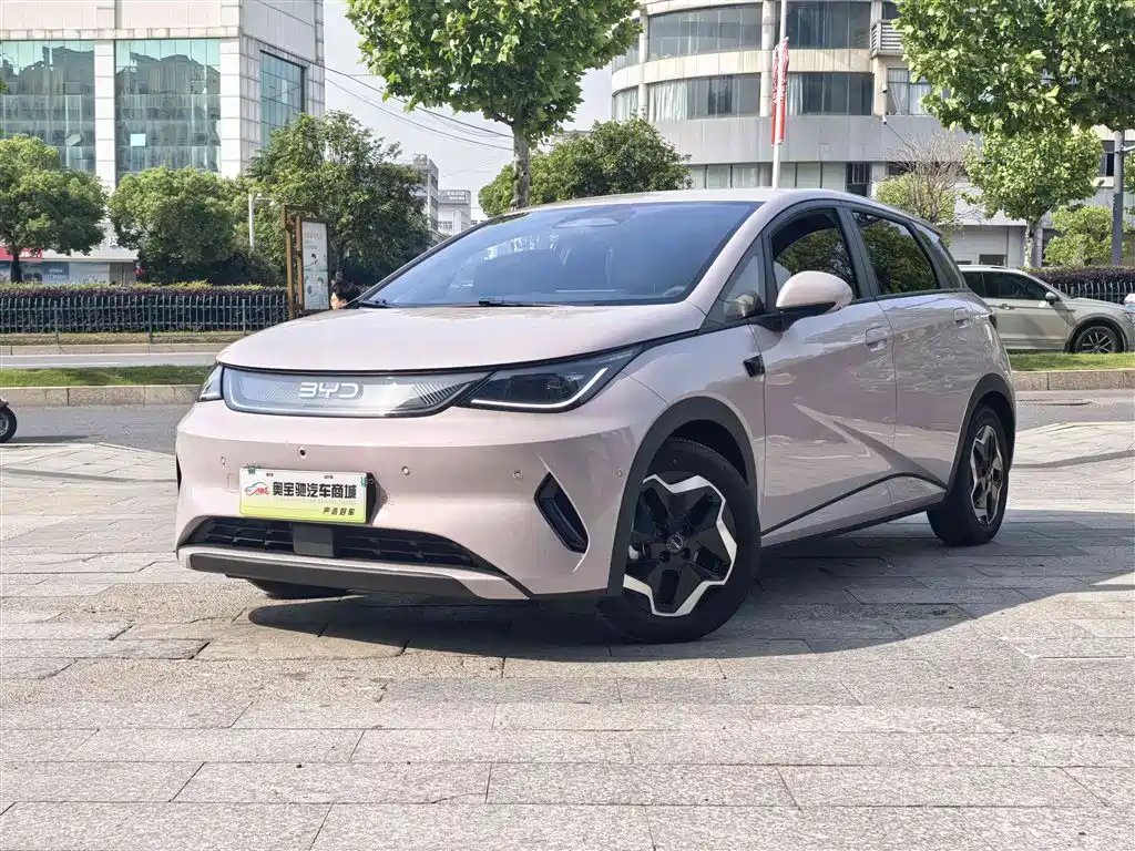 BYD Dolphin 2025 Smart Drive Edition 420km Freedom Version