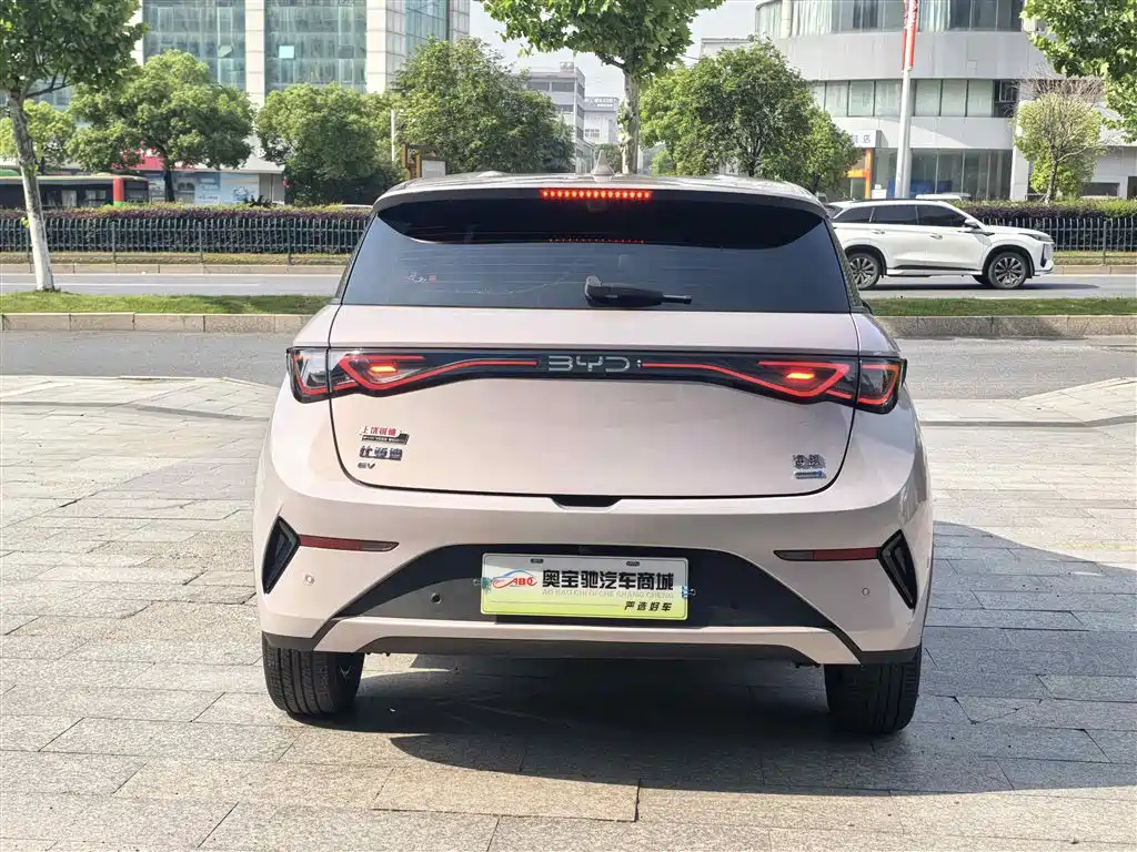 BYD Dolphin 2025 Smart Drive Edition 420km Freedom Version фото 8