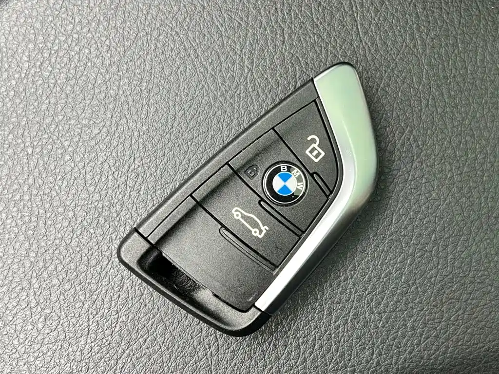 BMW X1 New Energy 2020 2020 xDrive30Le Premium Edition