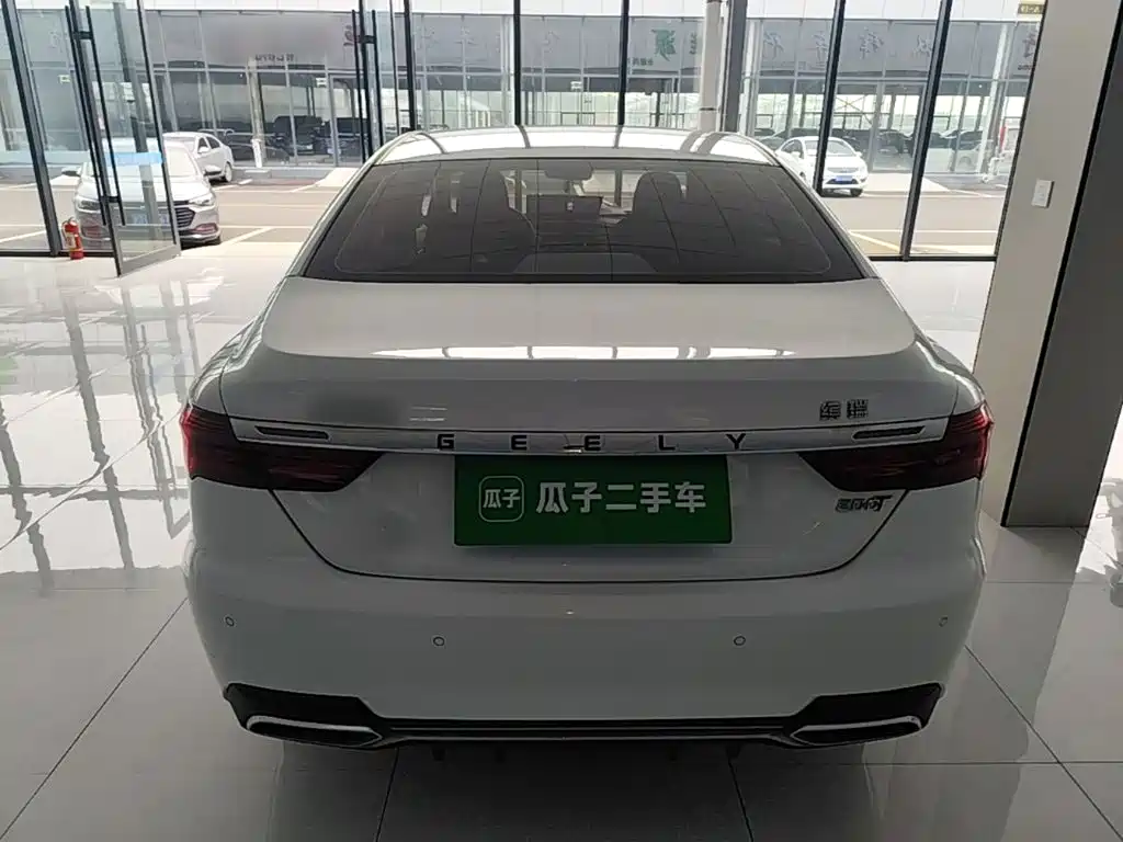 Фото 6 - Geely Binrui