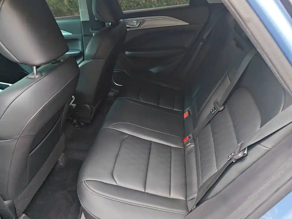 Geely Geometry C 2021 2020 Model Premium Range Edition 550KM C++
