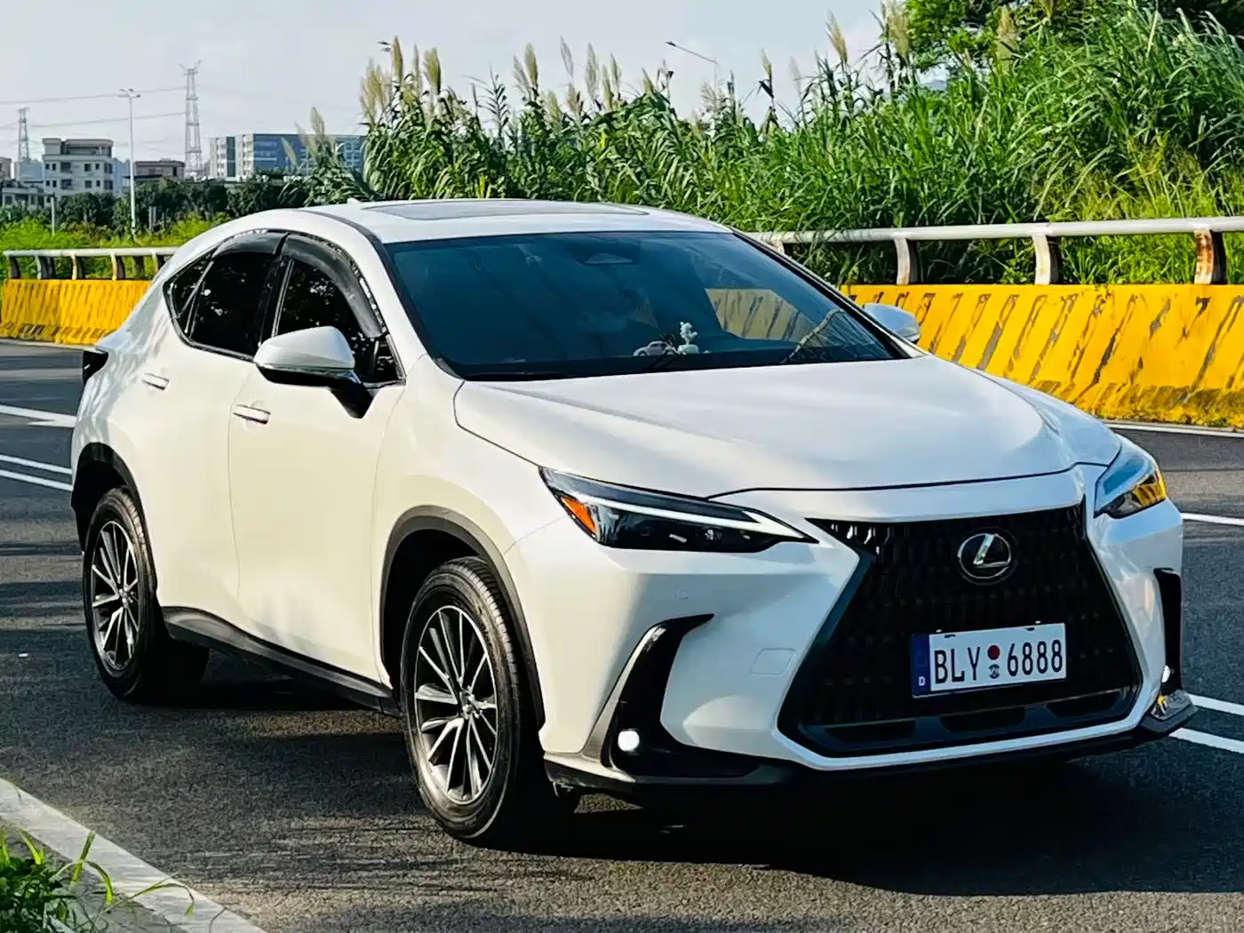 Lexus NX 2024 2024 260 FWD Joy Creation Edition