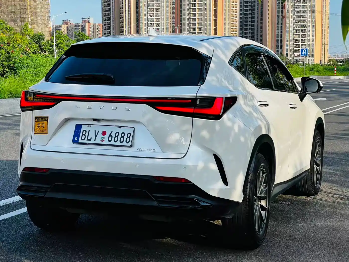 Lexus NX 2024 2024 260 FWD Joy Creation Edition