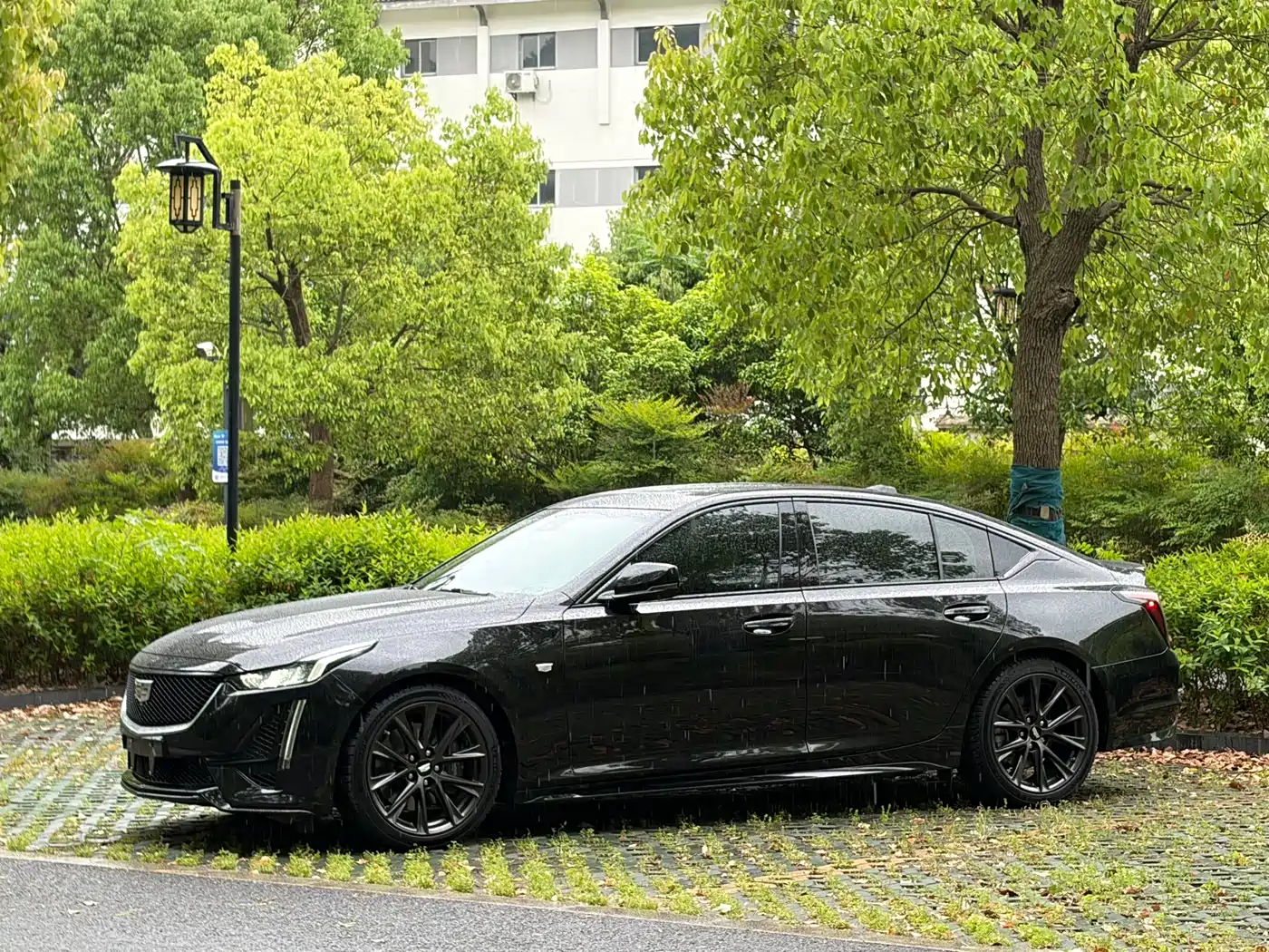 Cadillac CT5 2020 Facelift 28T Platinum Sport Edition фото 4