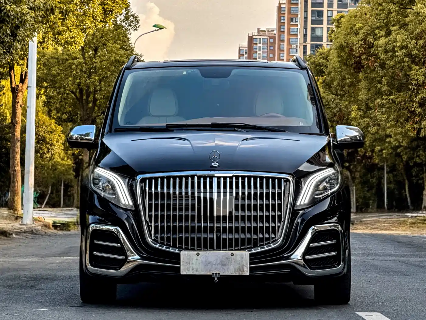 Mercedes-Benz Vito 2023 2.0T Business 7-Seater фото 2
